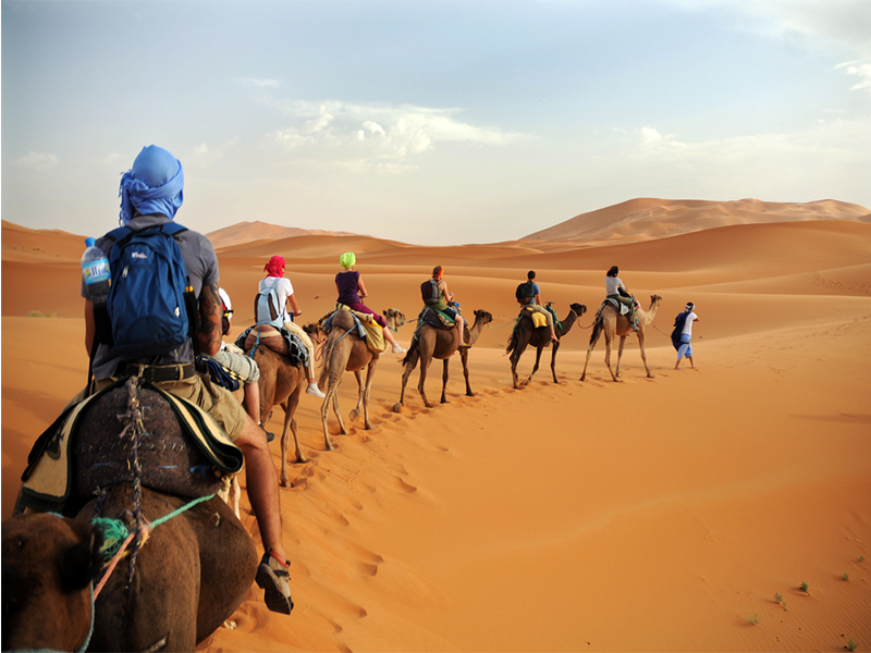Camel Ride In The Sahara Desert: An Adventure Like No Other!