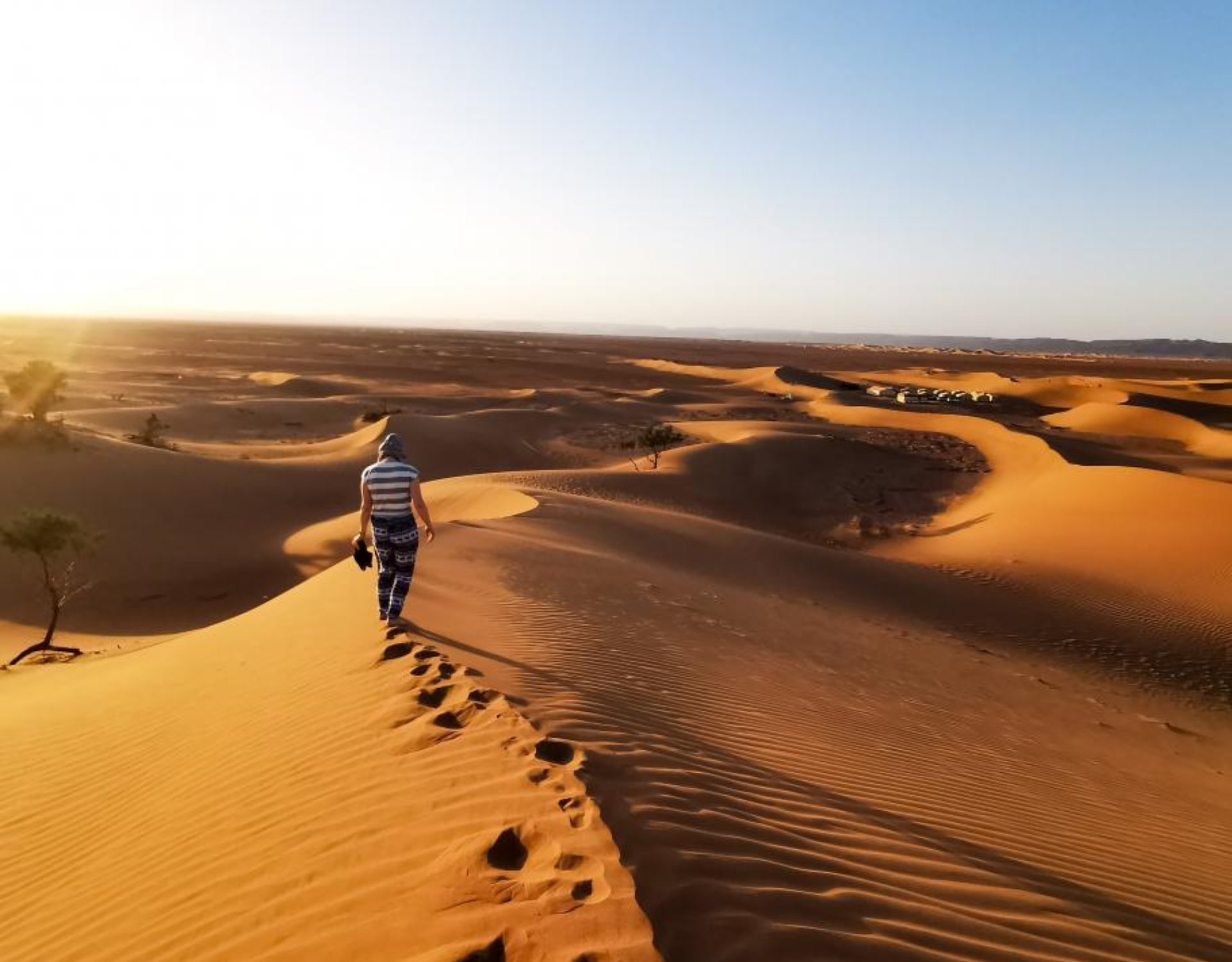 Camel Ride In The Sahara Desert: An Adventure Like No Other!