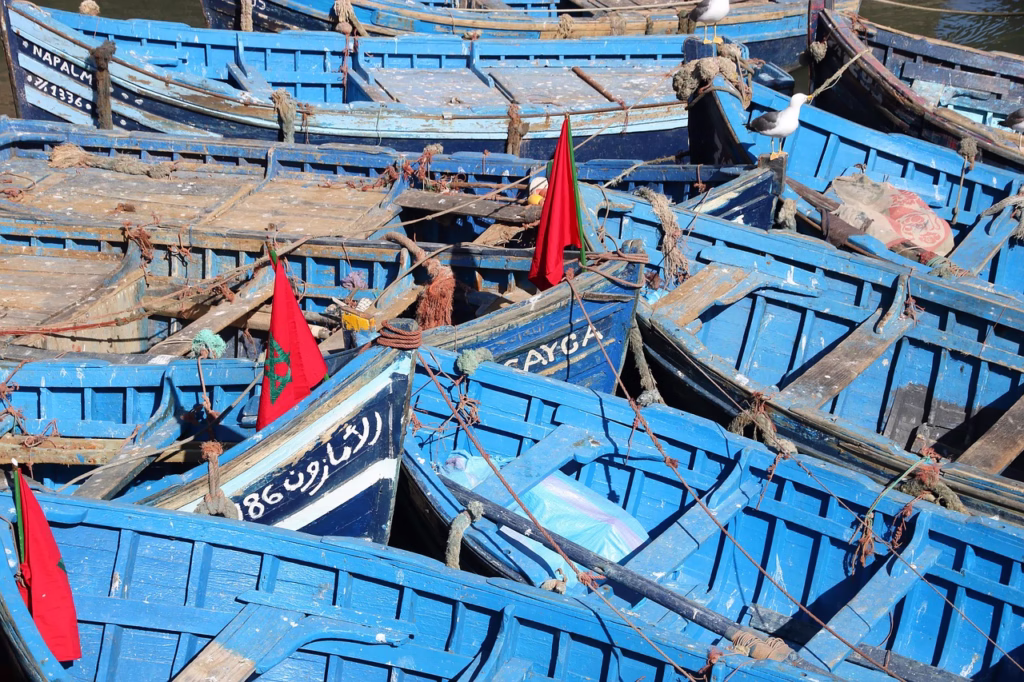 DAY TRIP TO ESSAOUIRA FROM MARRAKECH